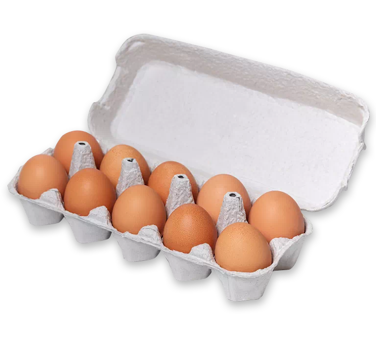 jajka zapakowane w wytłaczankę 